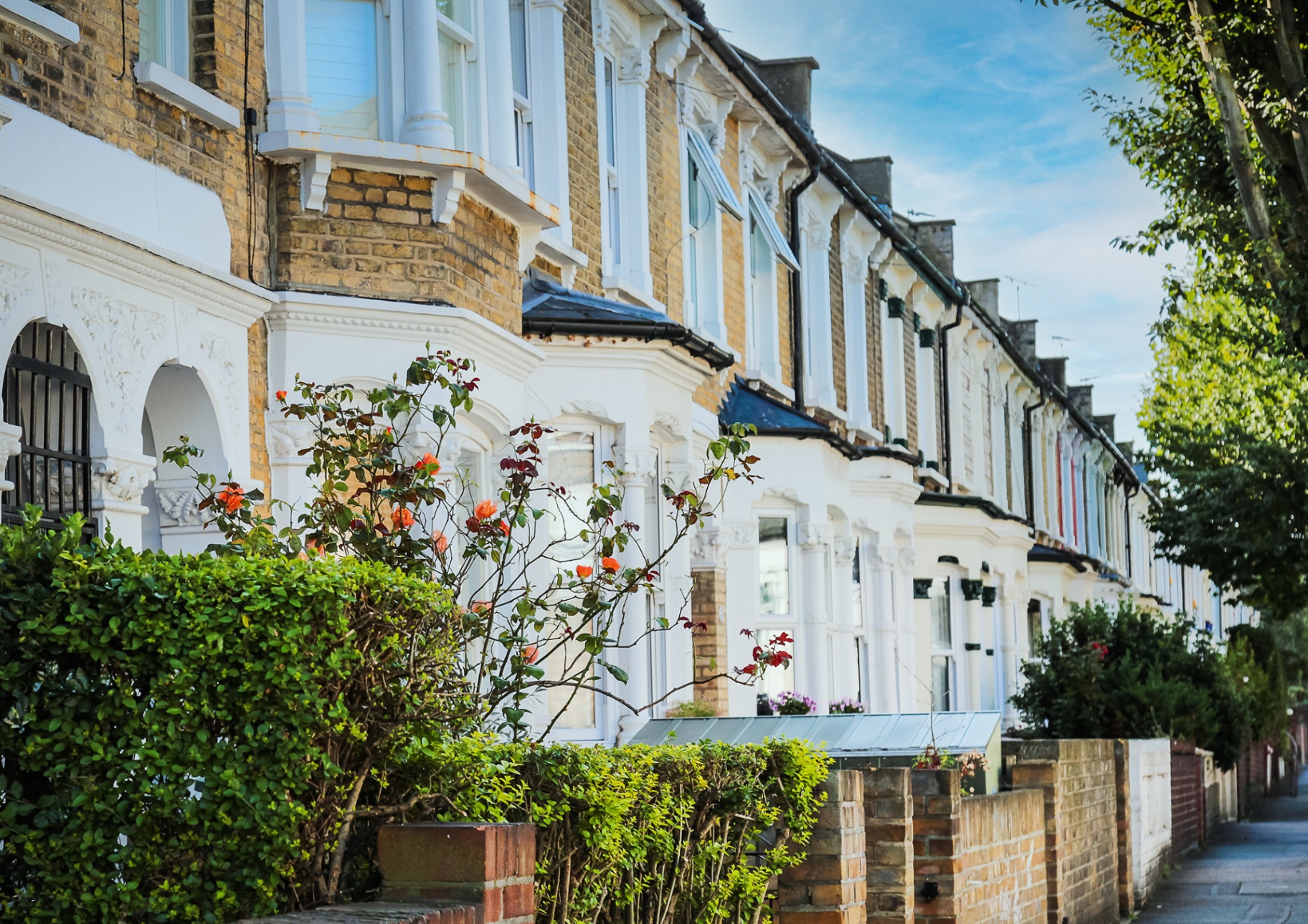 RICS Level 3 Home Survey